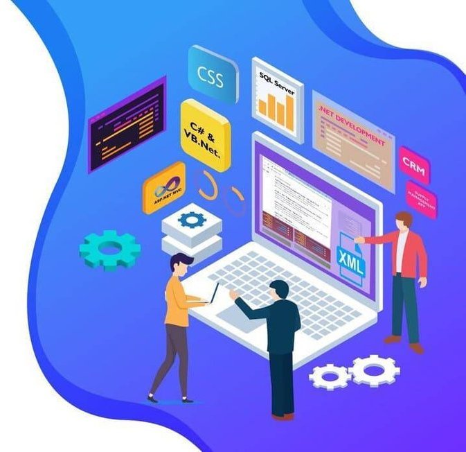 .NET Developer illustration